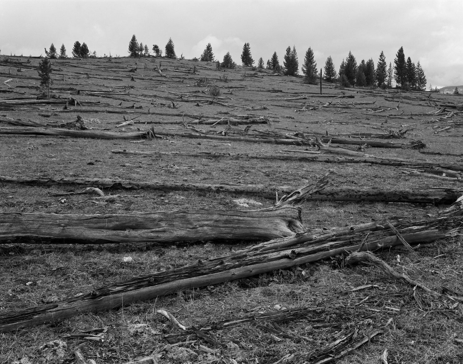 UNTITLED, (FOUNTAIN FLAT DRIVE) by Christopher Campbell