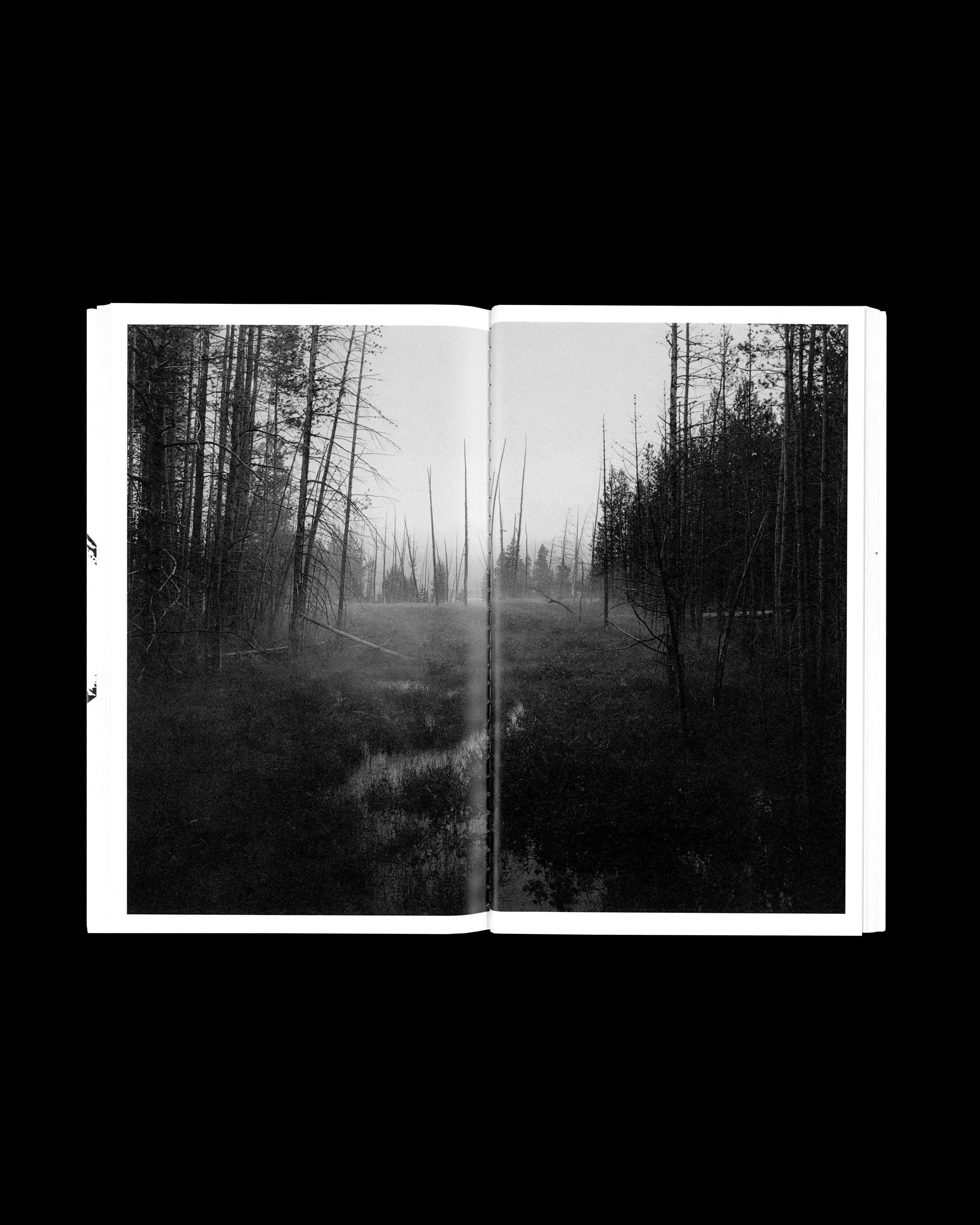 CALDERA EXHIBITION COMPANION by Christopher Campbell and Strata Editions