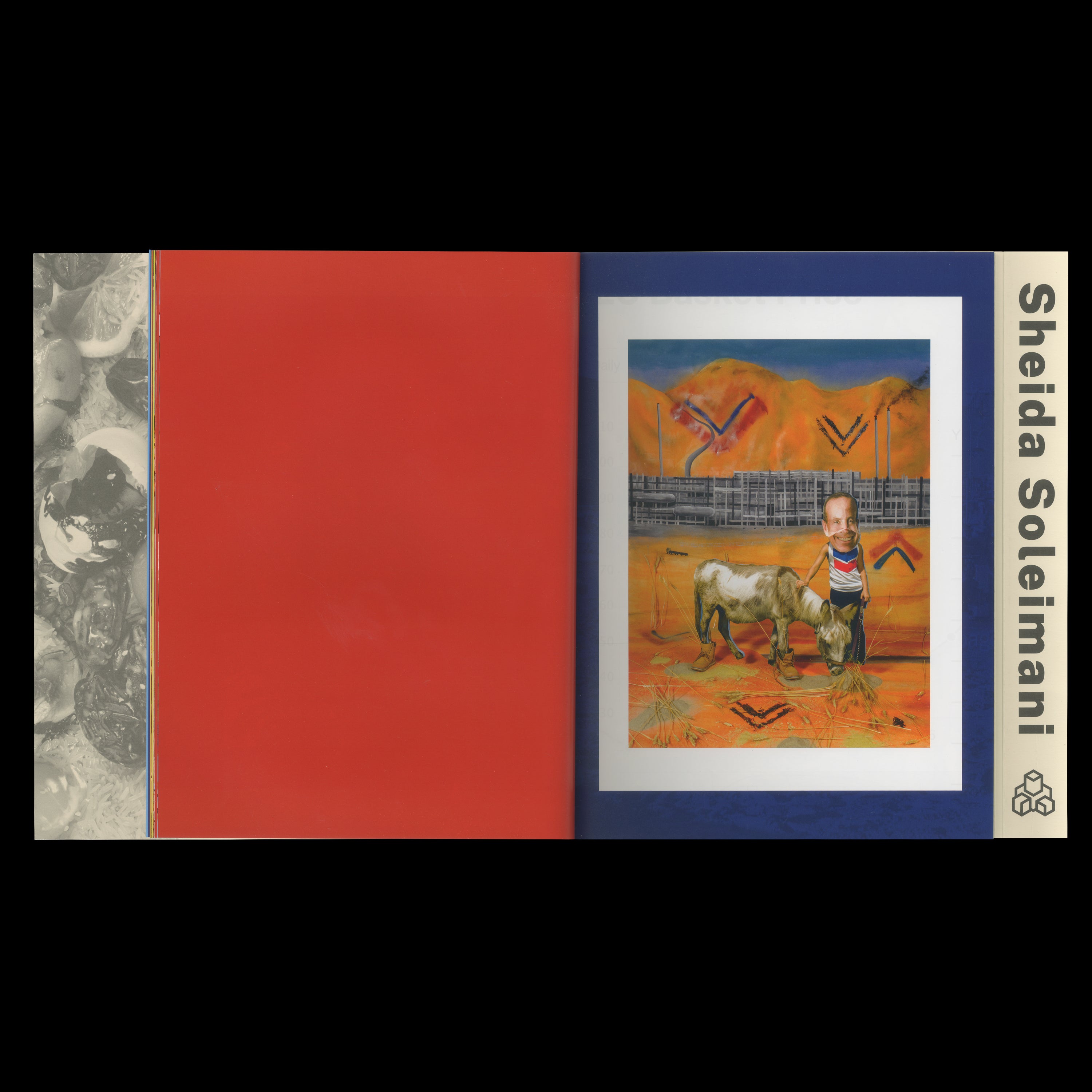 MEDIUM OF EXCHANGE by Sheida Soleimani, Dais Books