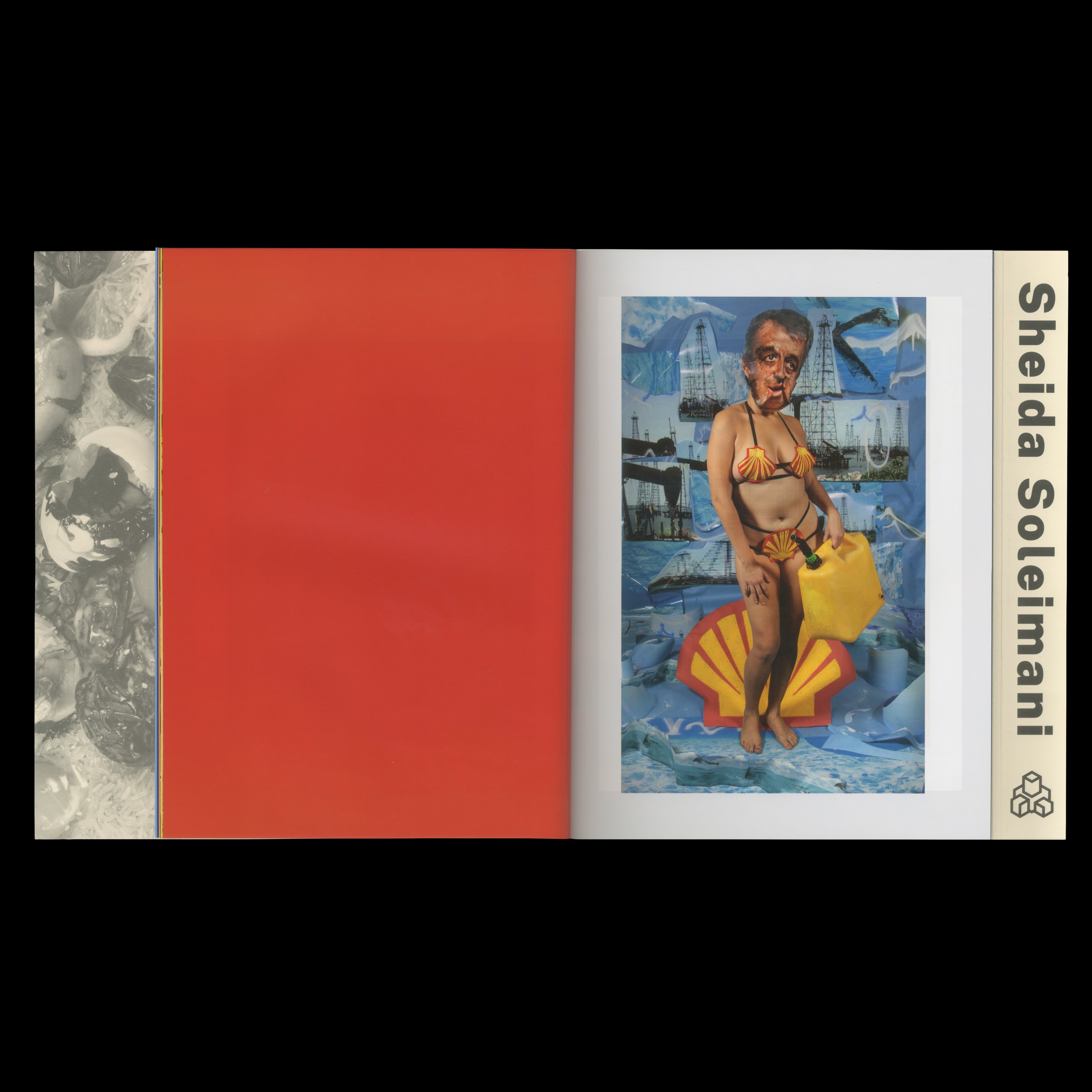 MEDIUM OF EXCHANGE by Sheida Soleimani, Dais Books