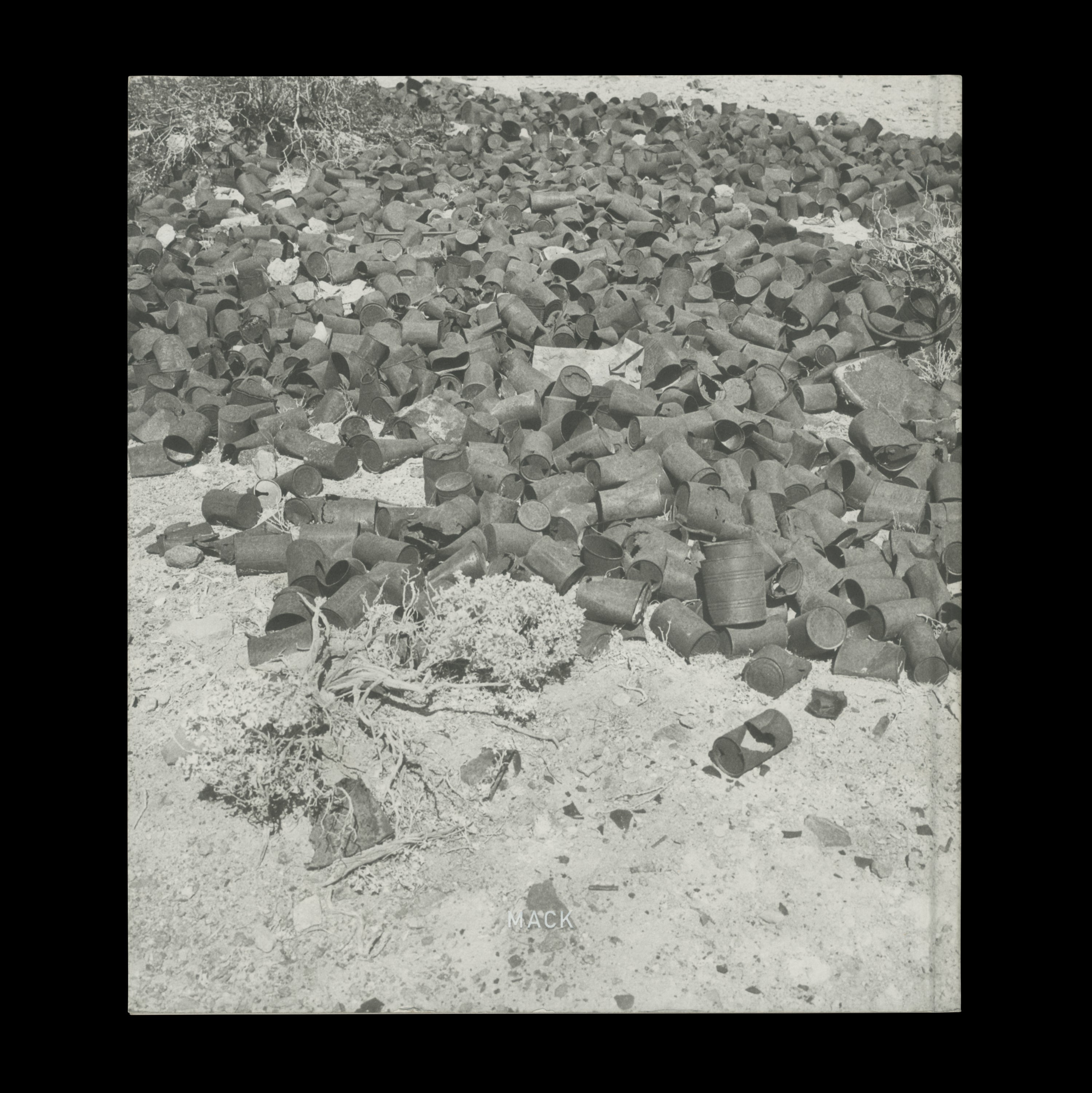 DOMESTICATED LAND by Susan Lipper, MACK