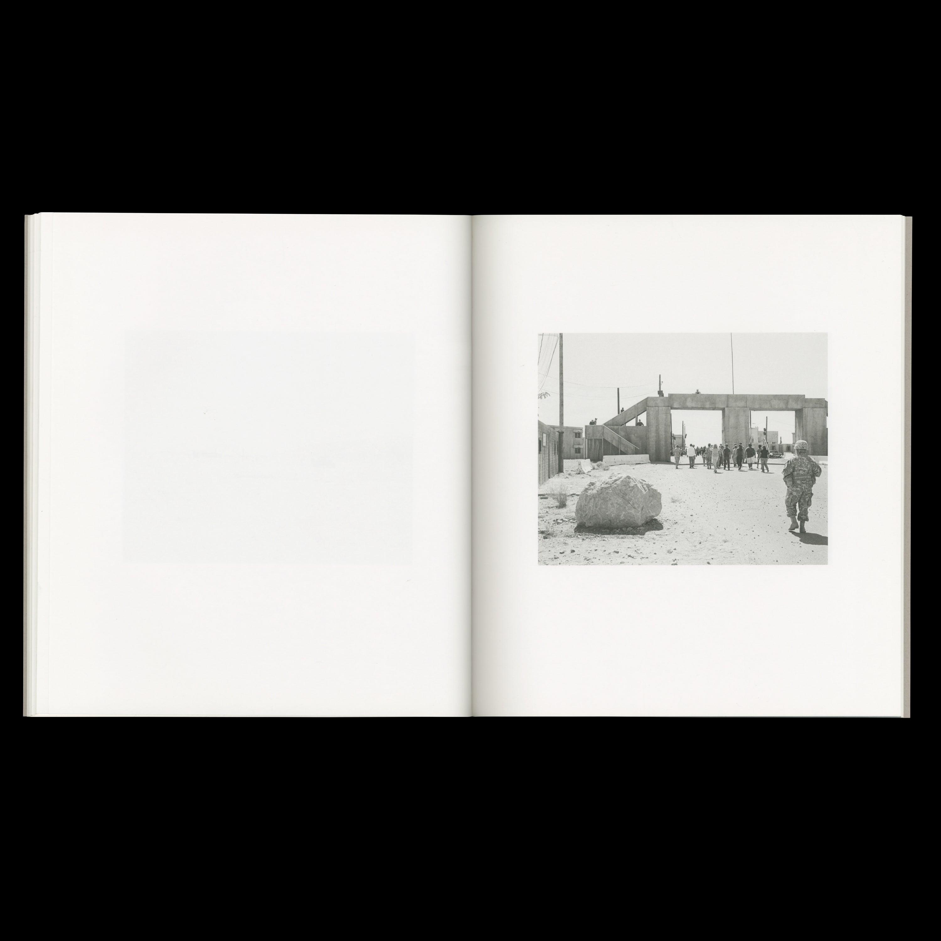 DOMESTICATED LAND by Susan Lipper, MACK