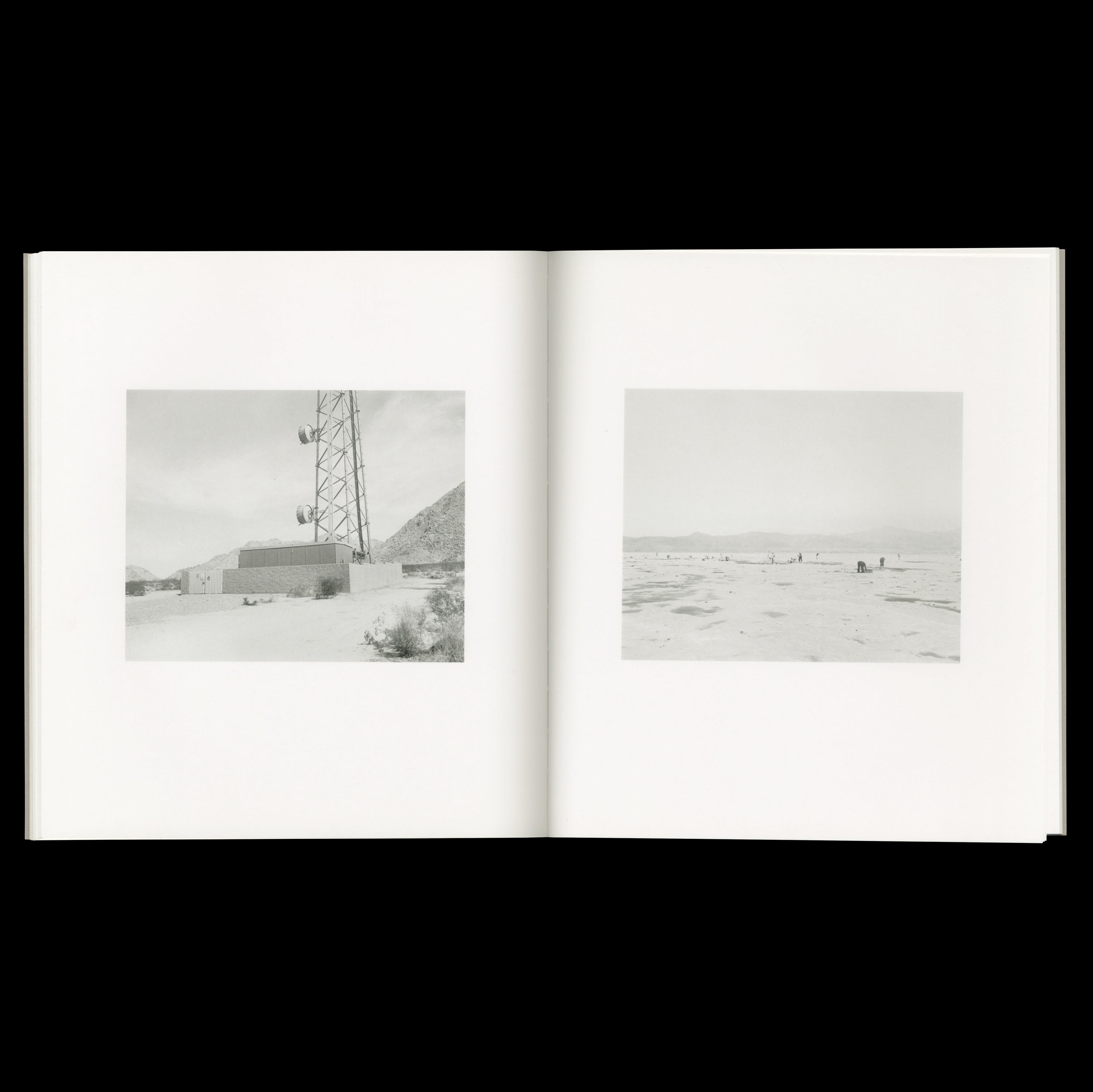 DOMESTICATED LAND by Susan Lipper, MACK