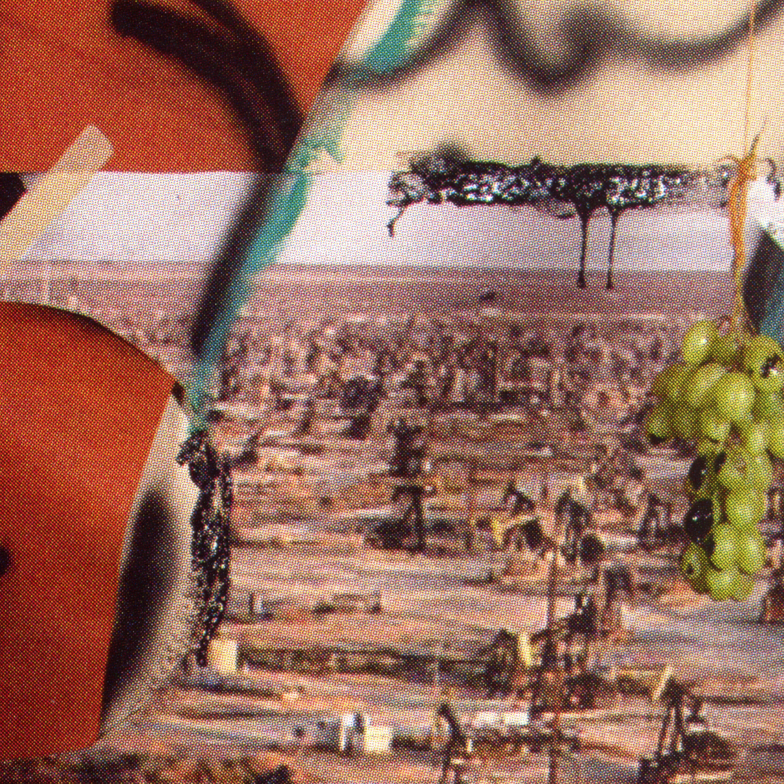 MEDIUM OF EXCHANGE by Sheida Soleimani, Dais Books