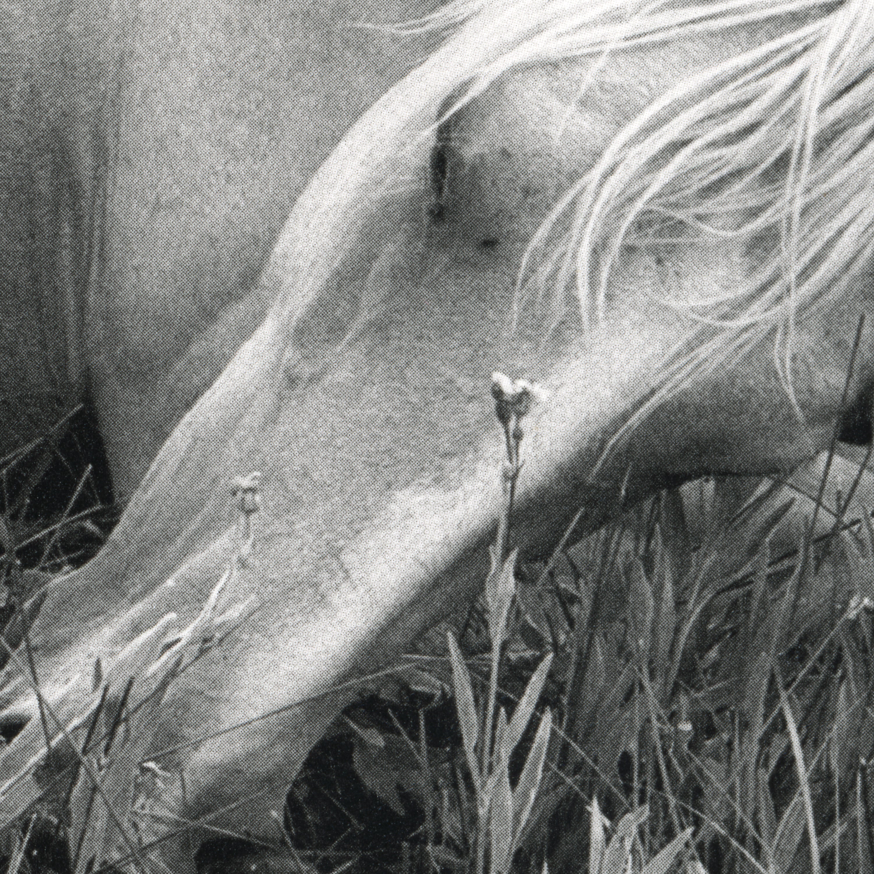 MEGALITH-STILL by Mimi Plumb, STANLEY/BARKER