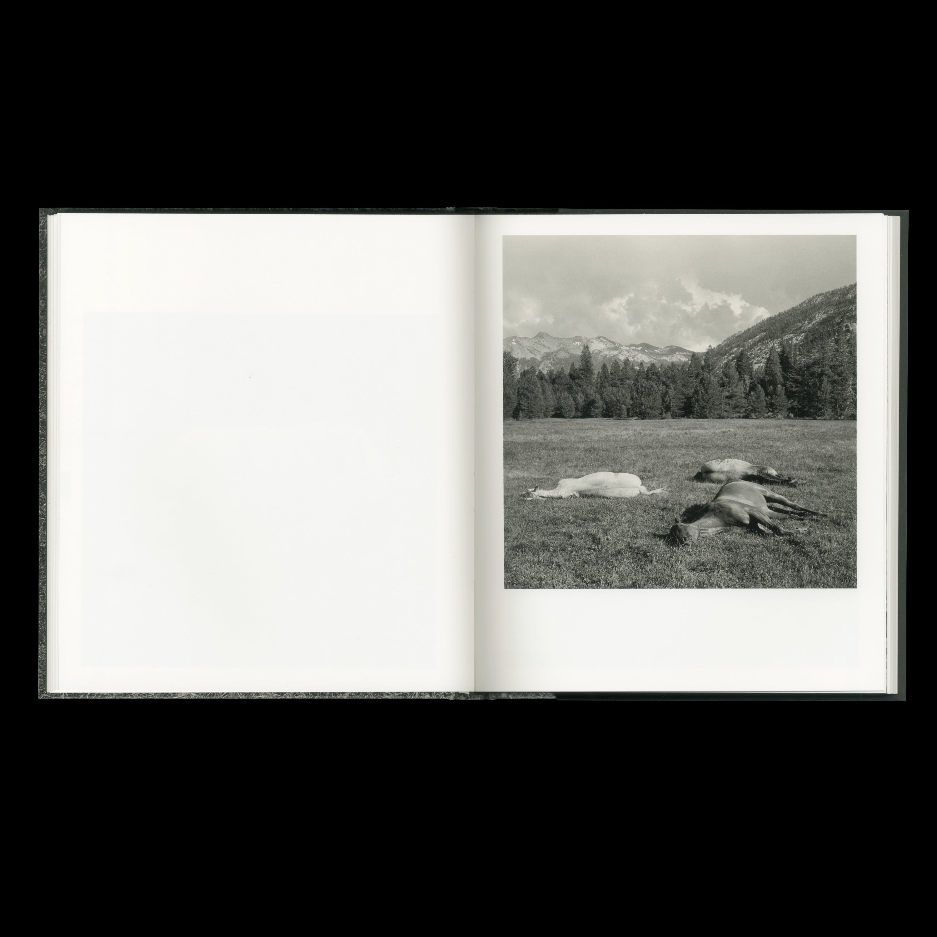 MEGALITH-STILL by Mimi Plumb, STANLEY/BARKER