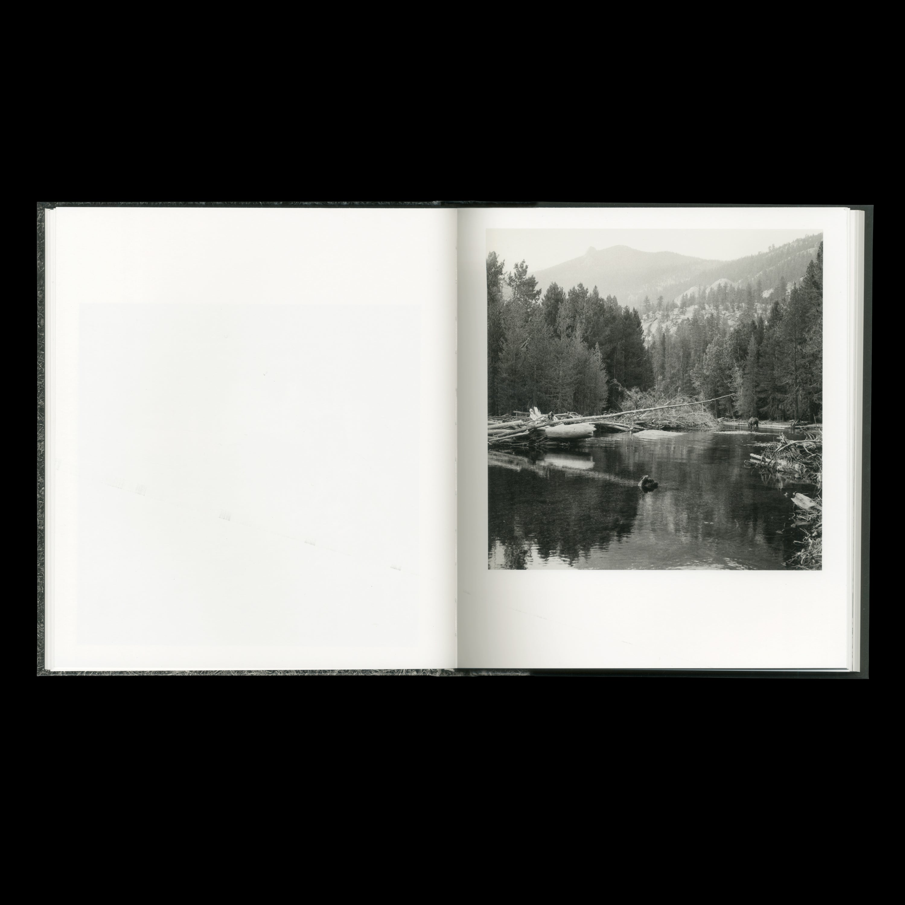 MEGALITH-STILL by Mimi Plumb, STANLEY/BARKER