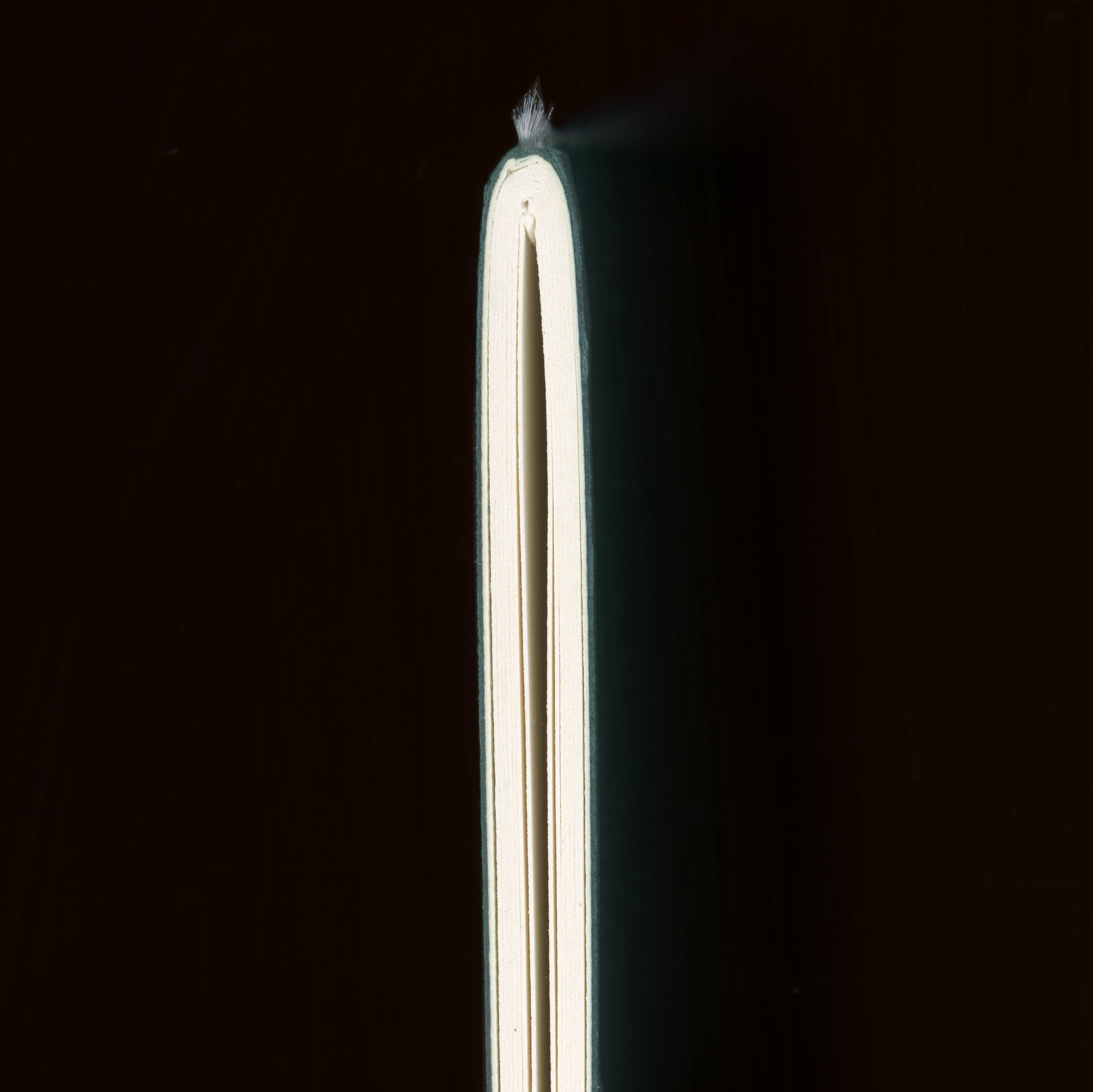 OLD FAITHFUL by Pascale Georgiev, Atelier Éditions