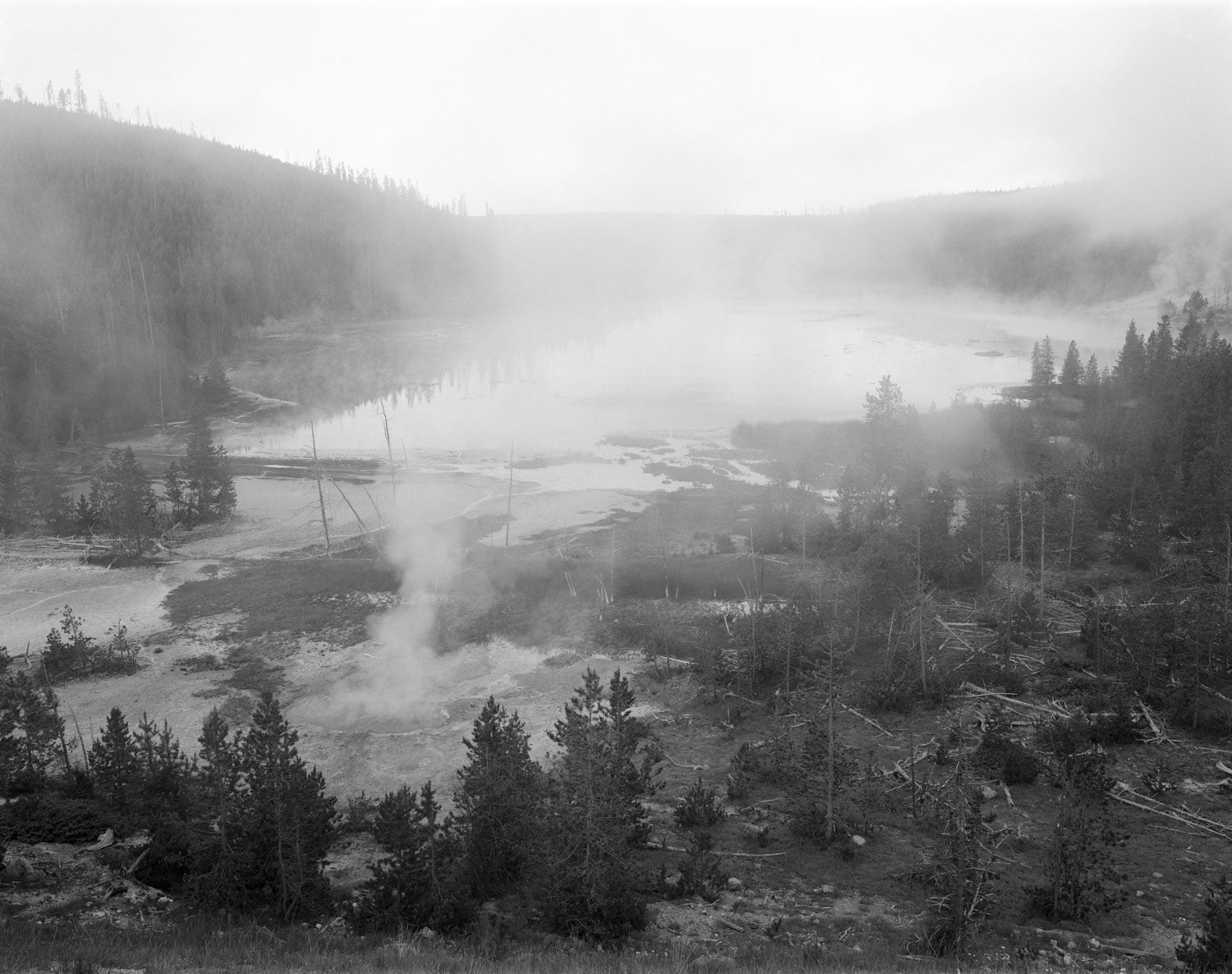 UNTITLED, (NYMPH LAKE) by Christopher Campbell