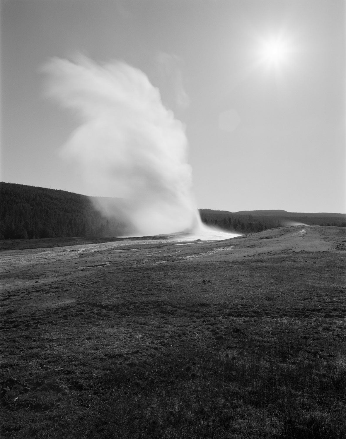 UNTITLED, (OLD FAITHFUL) by Christopher Campbell