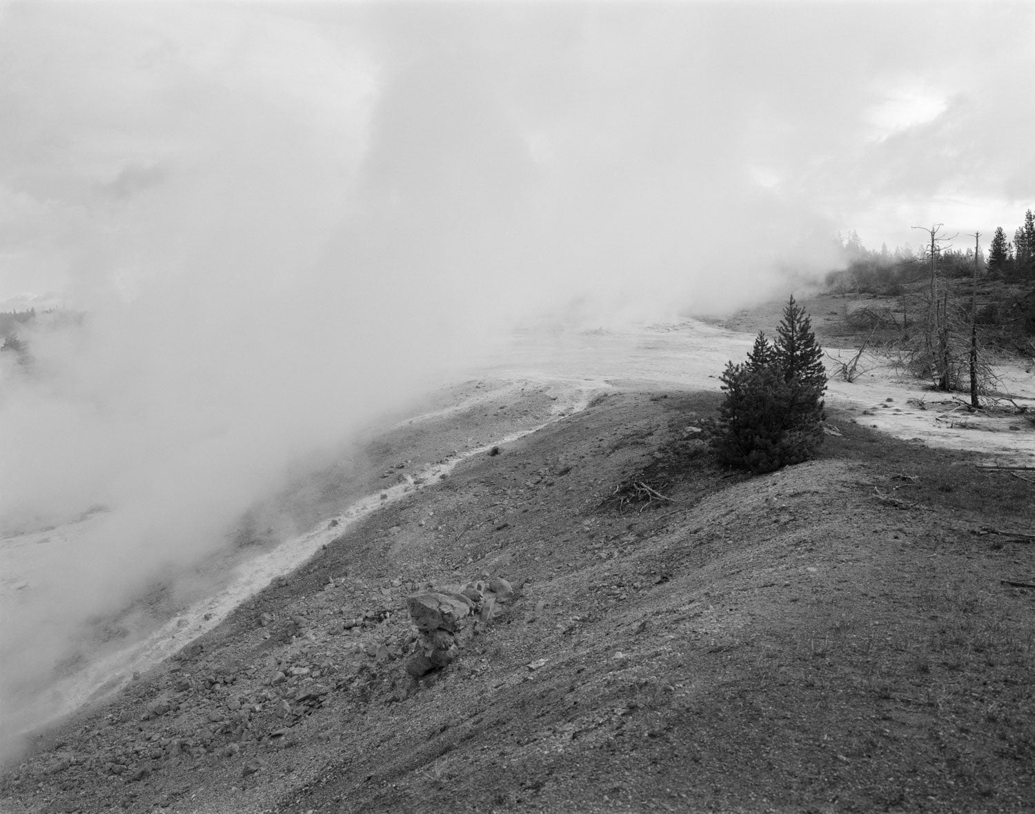 UNTITLED, (PORCELAIN SPRINGS) by Christopher Campbell