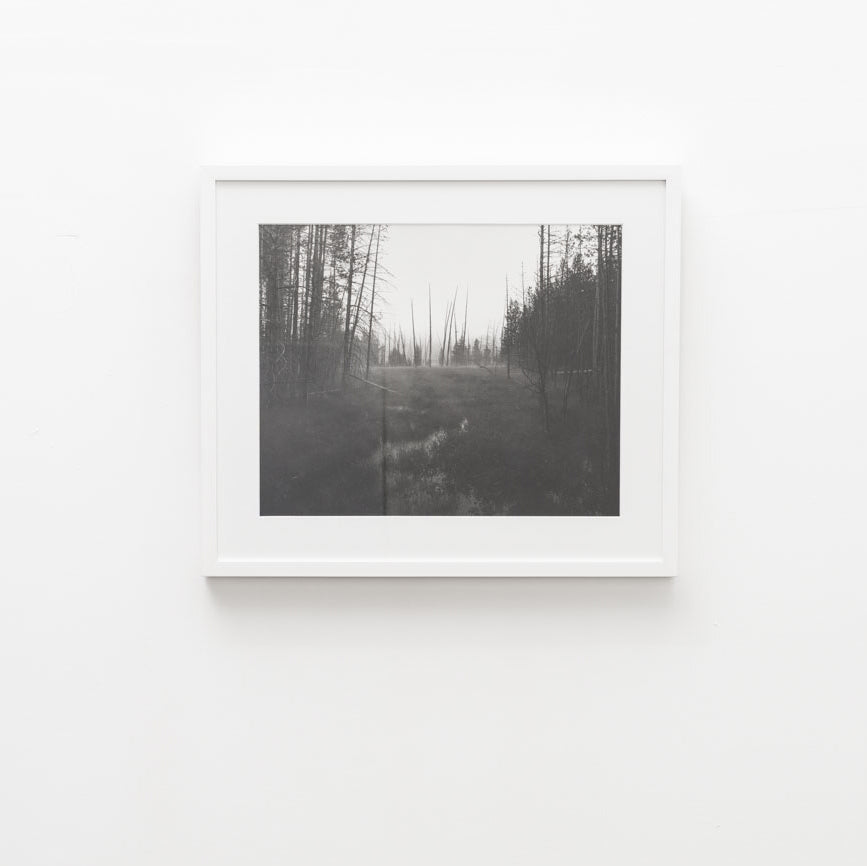 UNTITLED, (ELK PARK) by Christopher Campbell