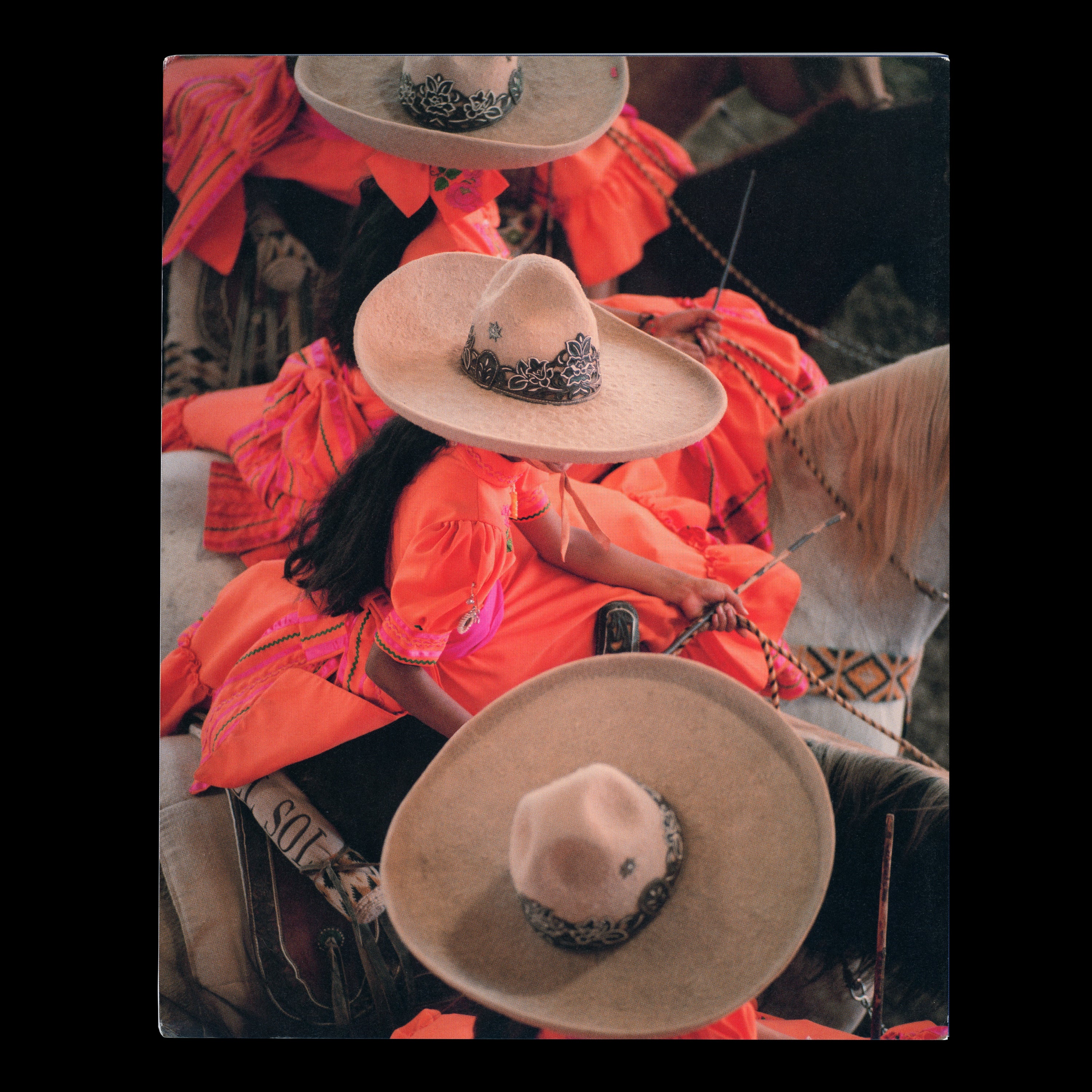 TIERRA DEL SOL by Carlos Jaramillo, Pomegranate Press