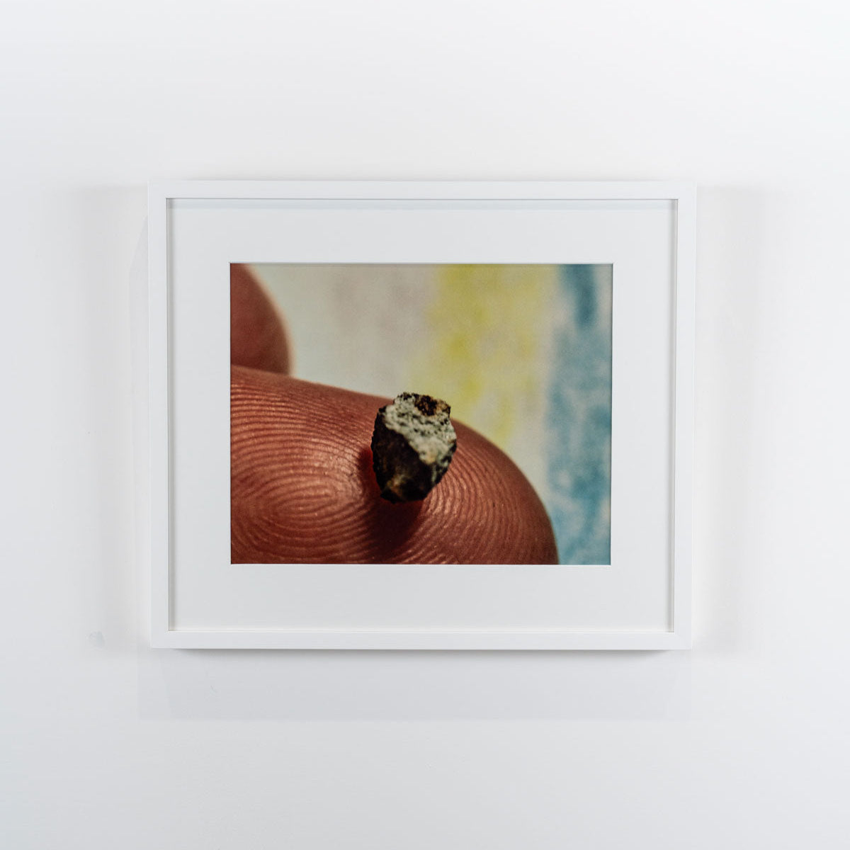 UNTITLED (OCTAVIA WITH METEOR 1) by Arthur Ou