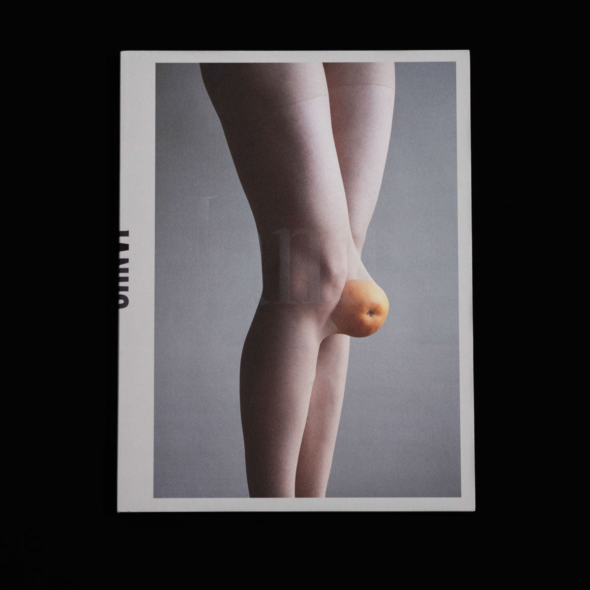 JANUS by Birthe Piontek, Gnomic Book