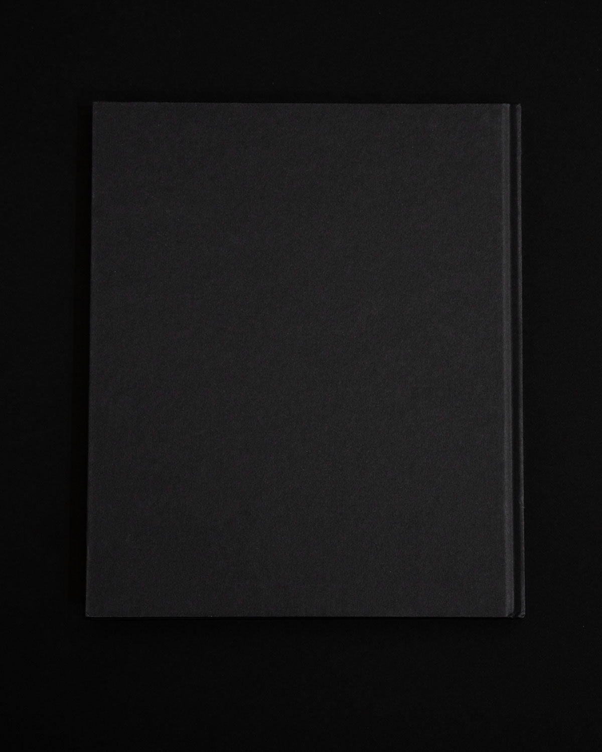 THE COMMUNITY by Eli Durst, Morel Books