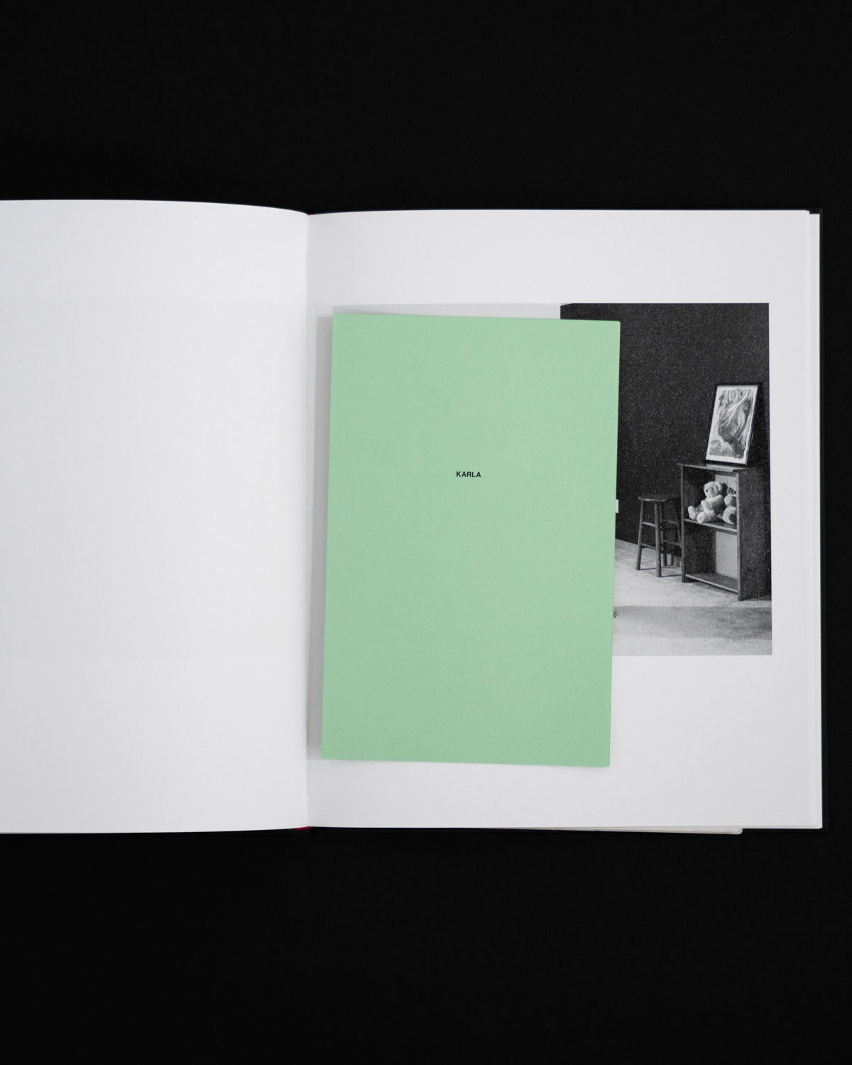THE COMMUNITY by Eli Durst, Morel Books