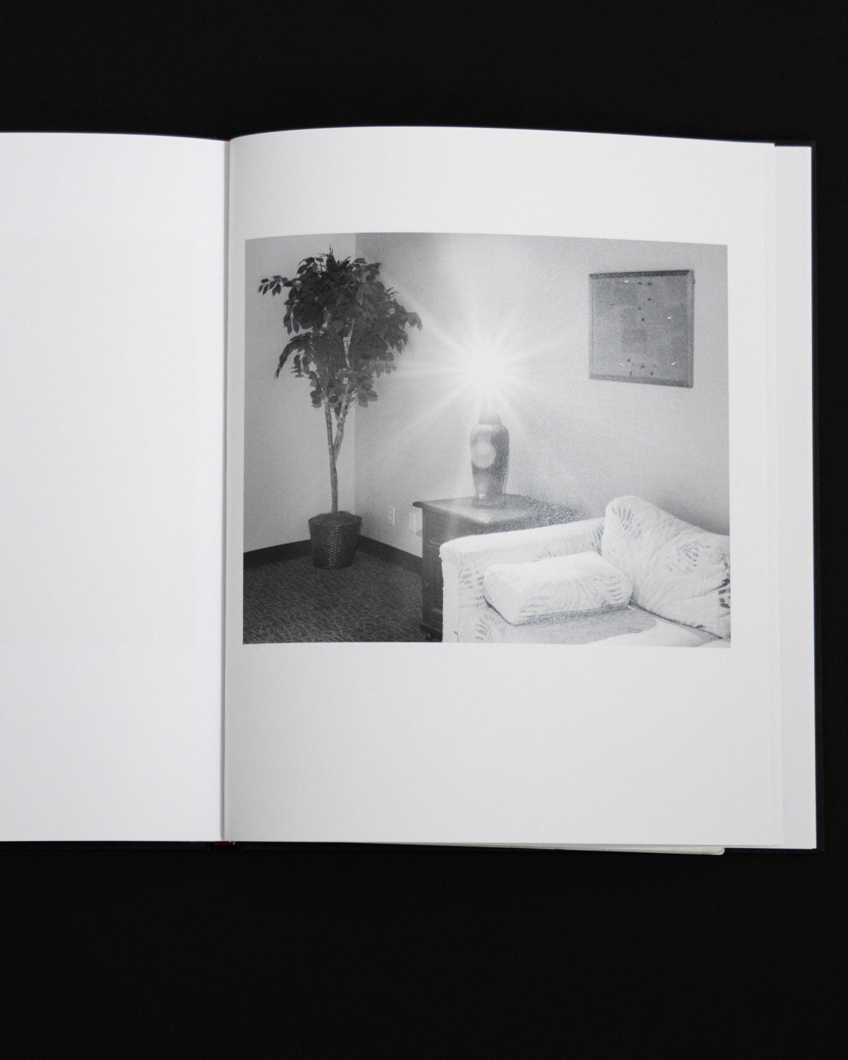 THE COMMUNITY by Eli Durst, Morel Books