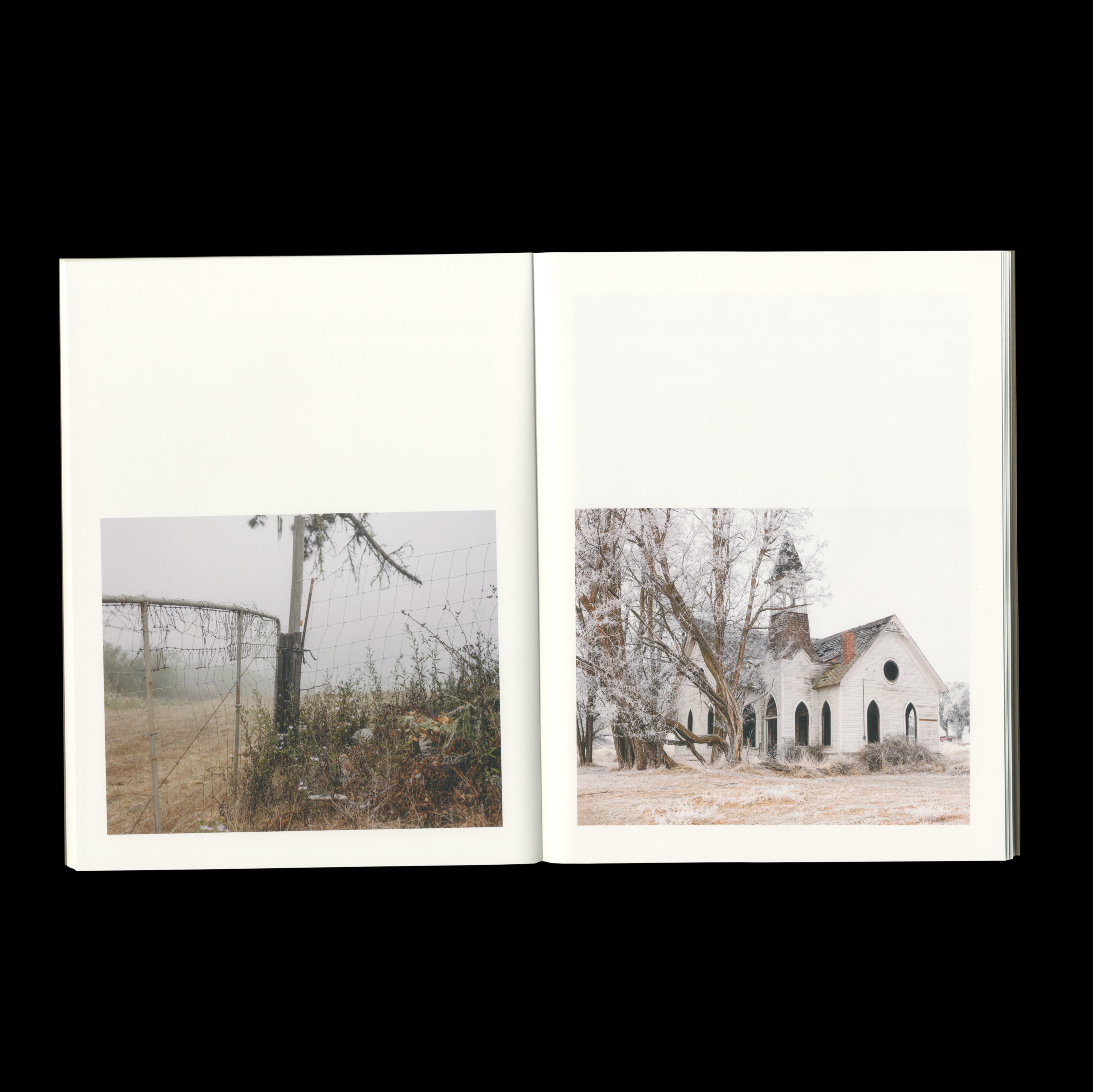 LOST DOG by Ian Bates, Deadbeat Club