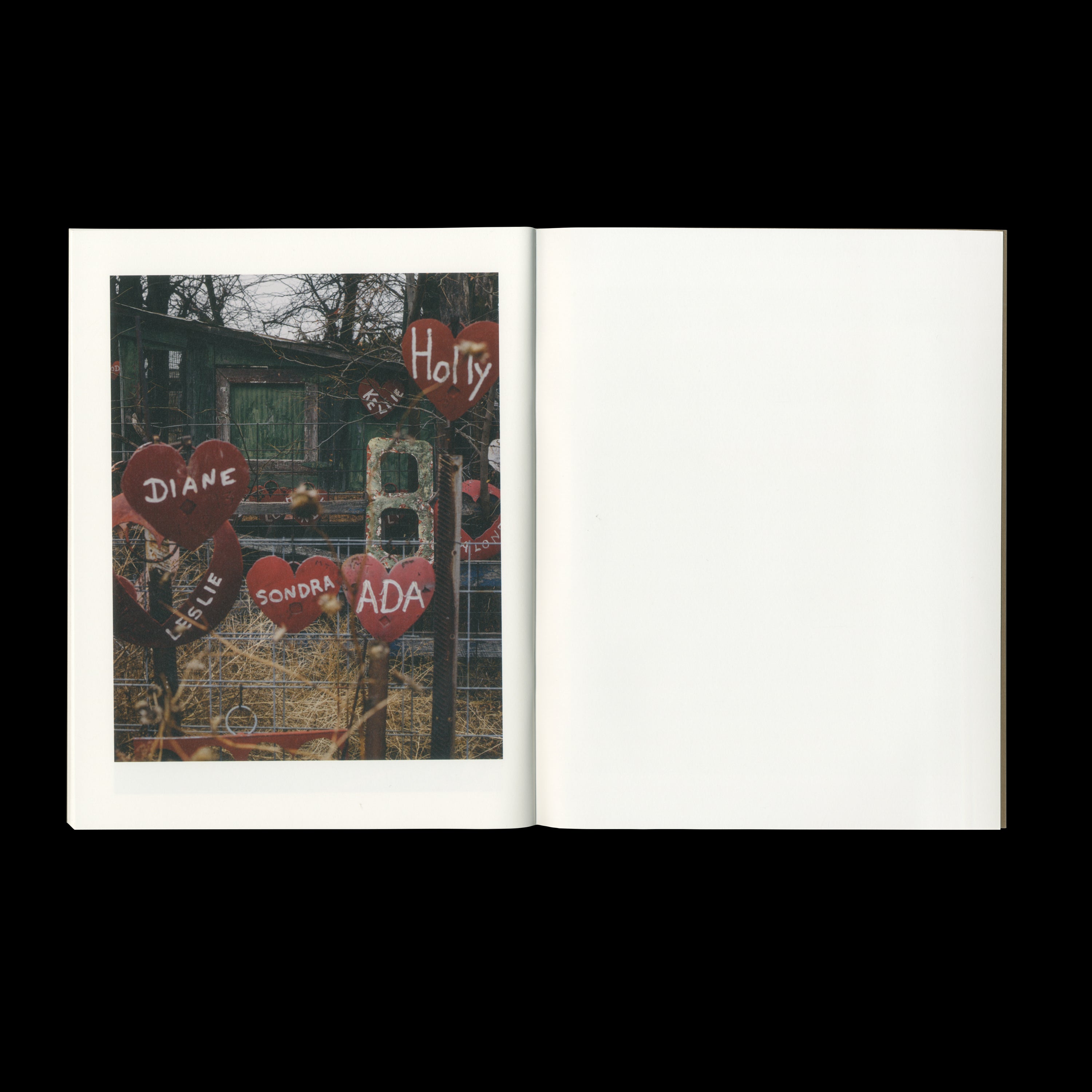 LOST DOG by Ian Bates, Deadbeat Club