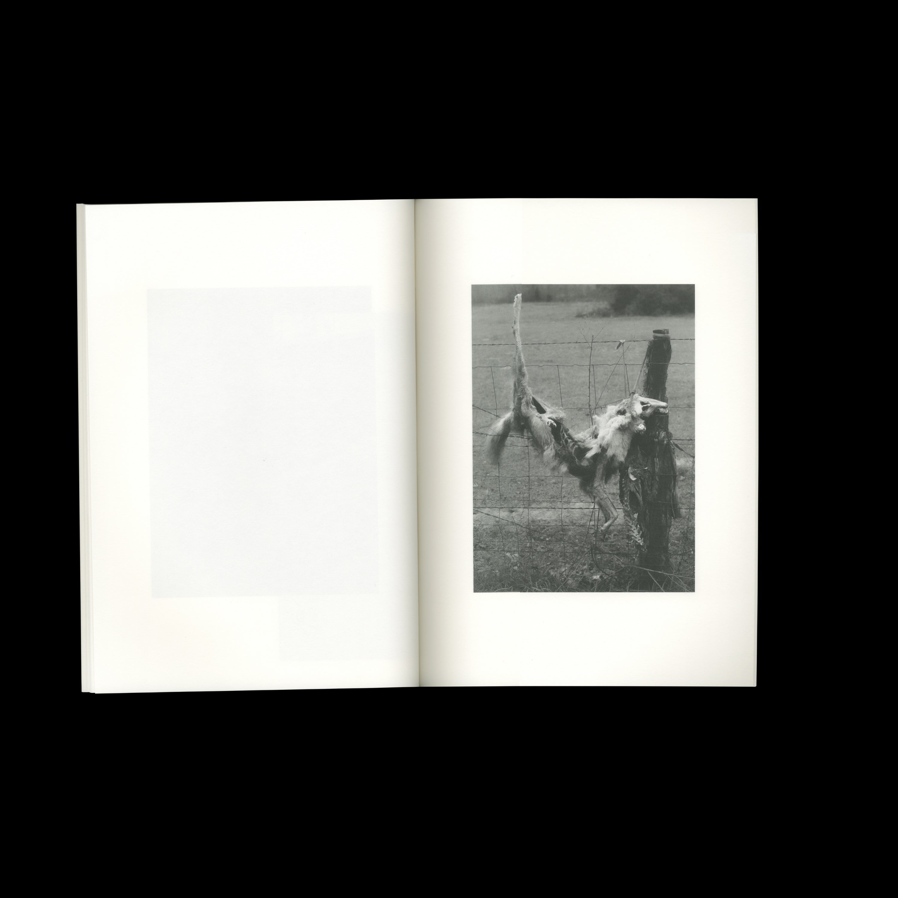GOOD GODDAMN by Bryan Schutmaat, Trespasser