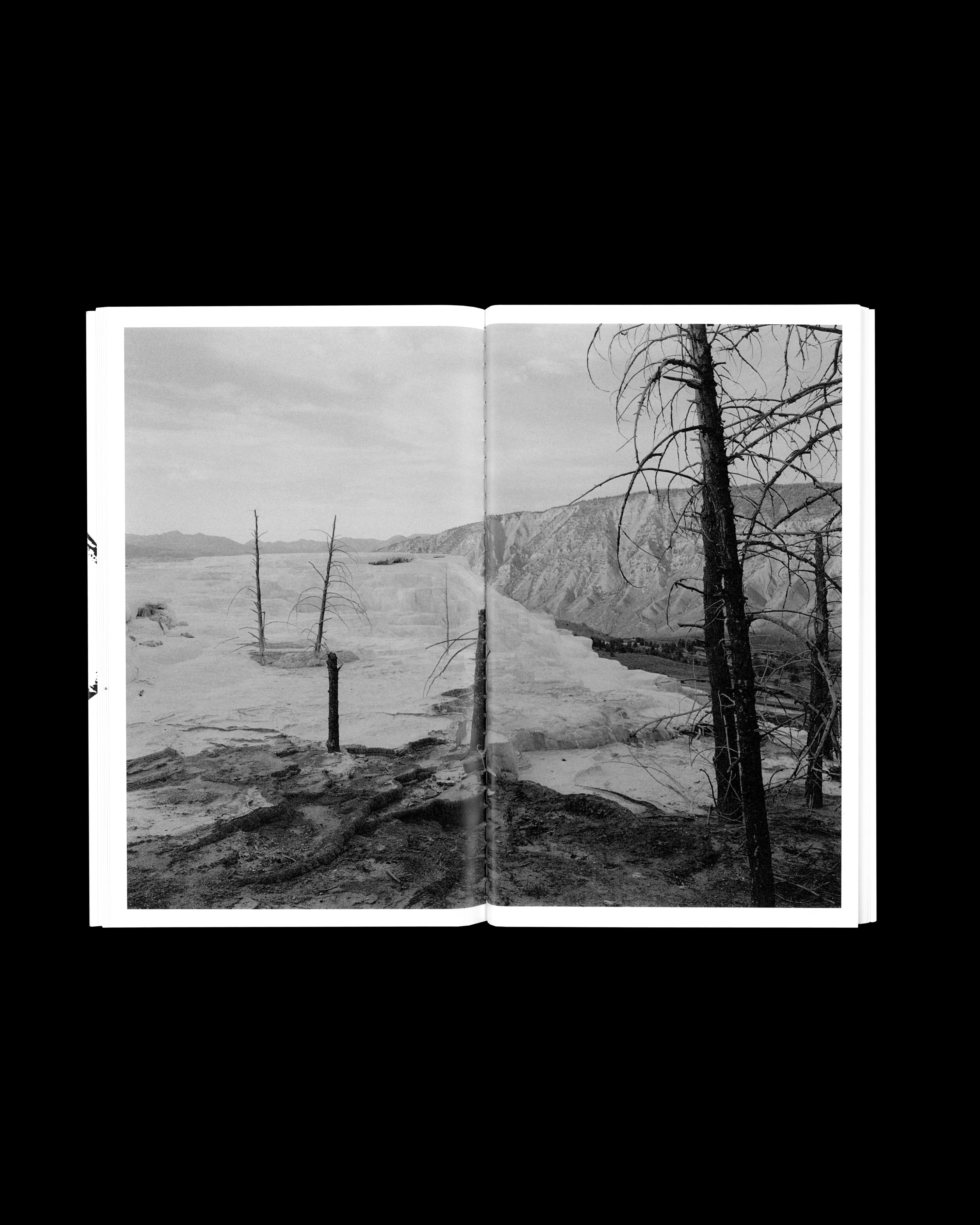 CALDERA EXHIBITION COMPANION by Christopher Campbell and Strata Editions