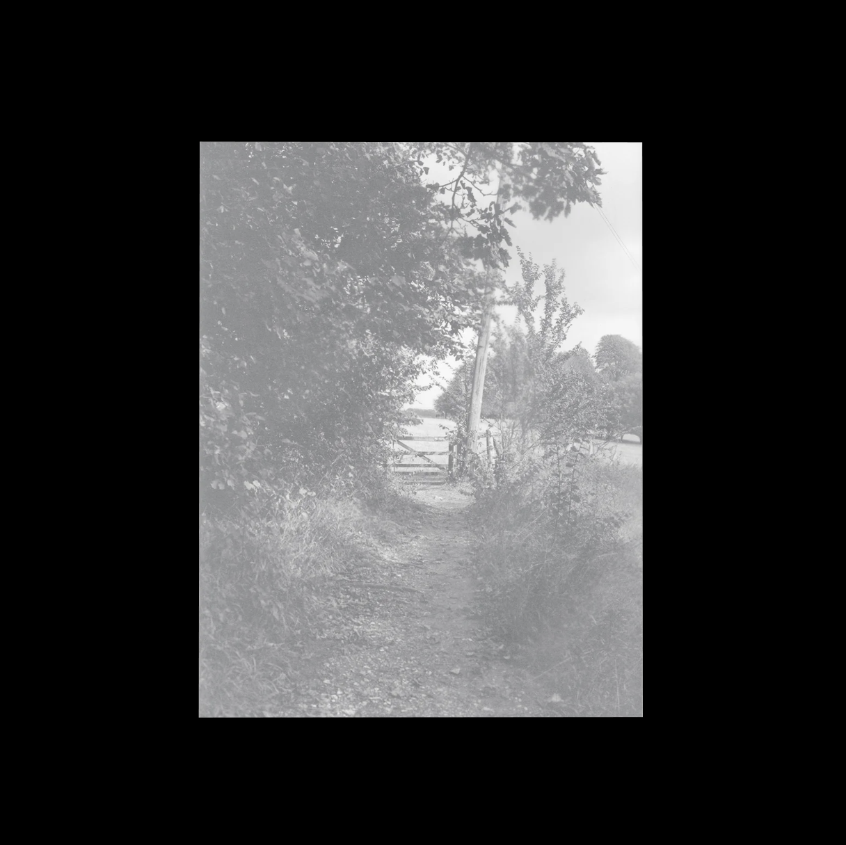 SOFT COPY 004