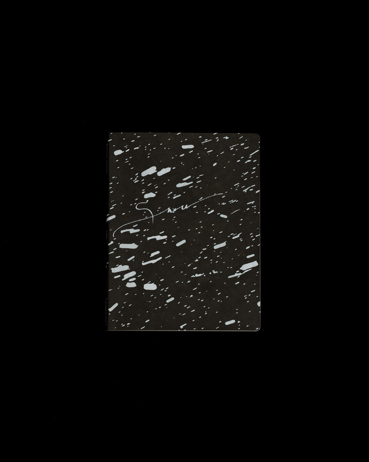 SNOW by Vanessa Winship