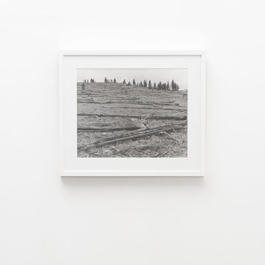 UNTITLED, (FOUNTAIN FLAT DRIVE) by Christopher Campbell
