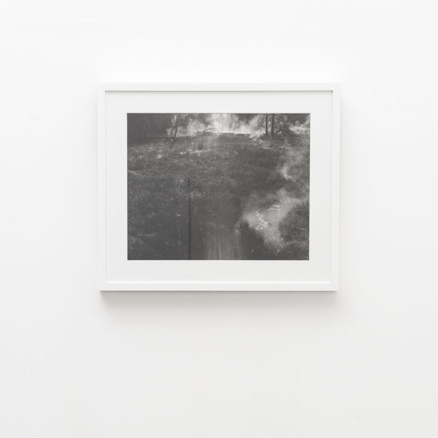 UNTITLED, (morning dew) by Christopher Campbell