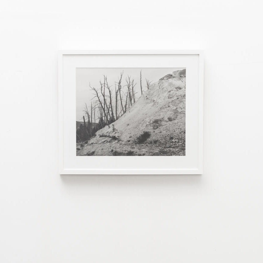 UNTITLED, (dead juniper of the rocks and travertine) by Christopher Campbell