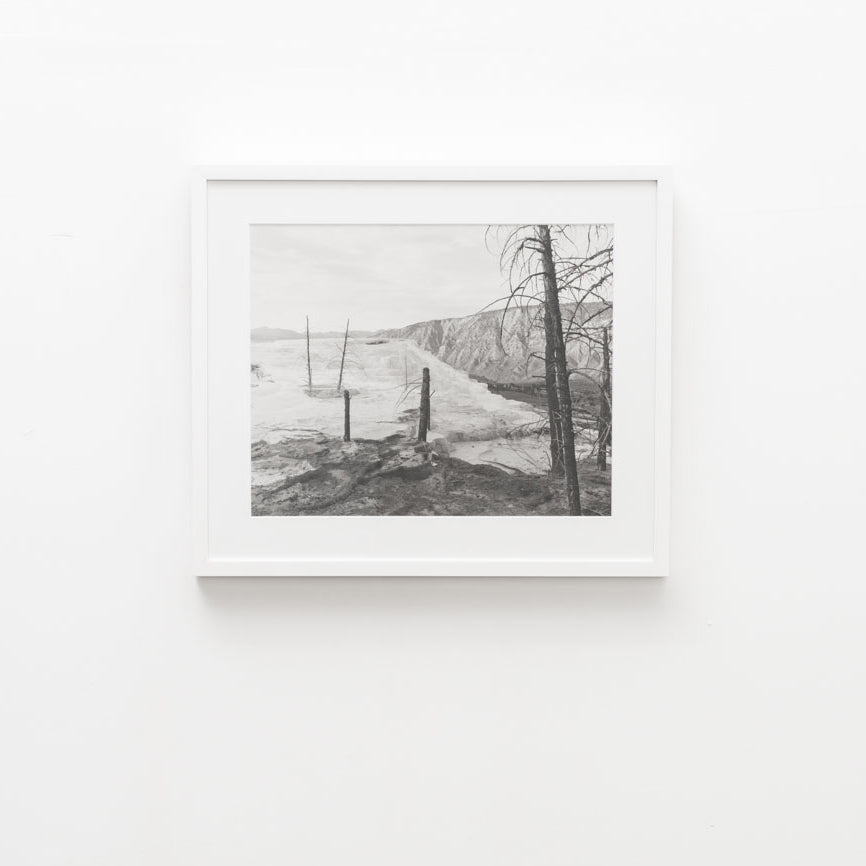UNTITLED, (CANARY SPRING) by Christopher Campbell